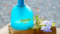 Pulverizador a presión Berry 1,5 - Tu piscina y jardín - Matabi