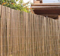 banner-image