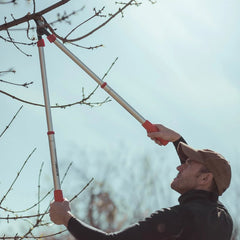 Tijera de poda Altuna 0345