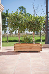 Macetero rectangular de madera Faura
