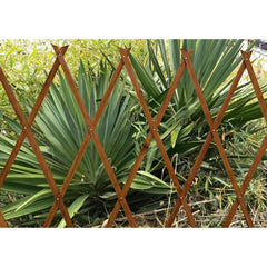 Celosía de madera tintada Faura