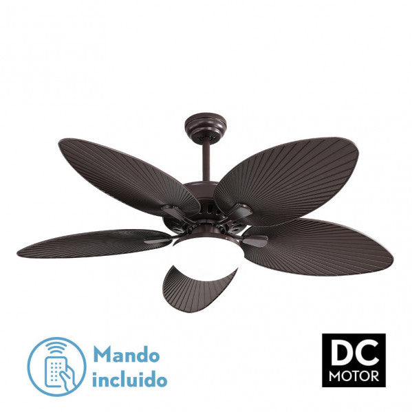 Ventilador de techo BORASCO marrón