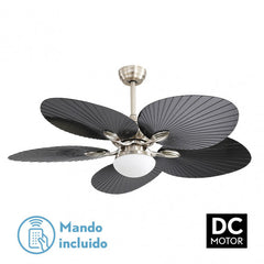 Ventilador de techo CHAW