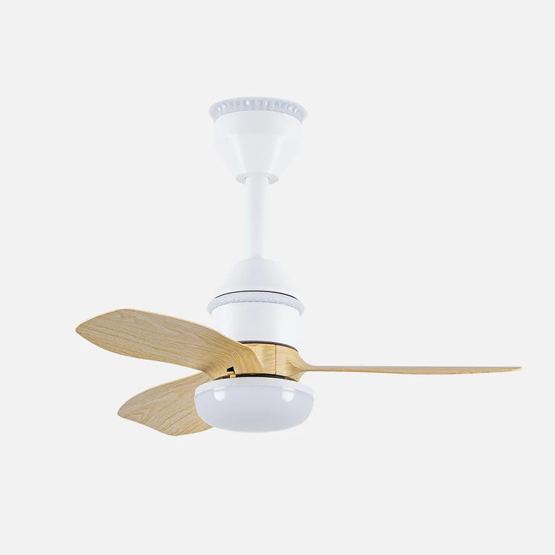 Ventilador de techo Asaf 20w