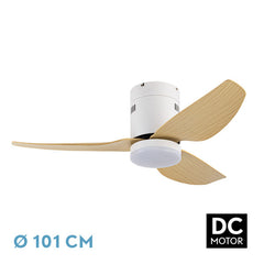 Ventilador de techo DC Borax 20W