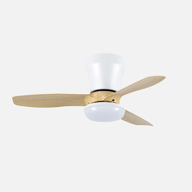 Ventilador de techo DC Cain 15w