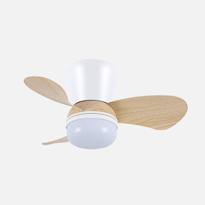Ventilador de techo DC Enoc 15w