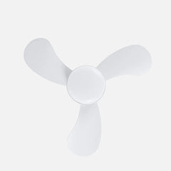 Ventilador de techo DC Enoc 15w