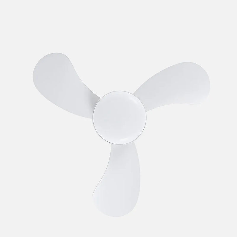 Ventilador de techo DC Enoc 15w