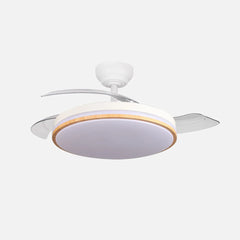 Ventilador de techo Parlatore 60W