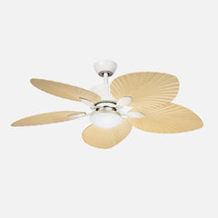 Ventilador de techo DC Torcal 24w