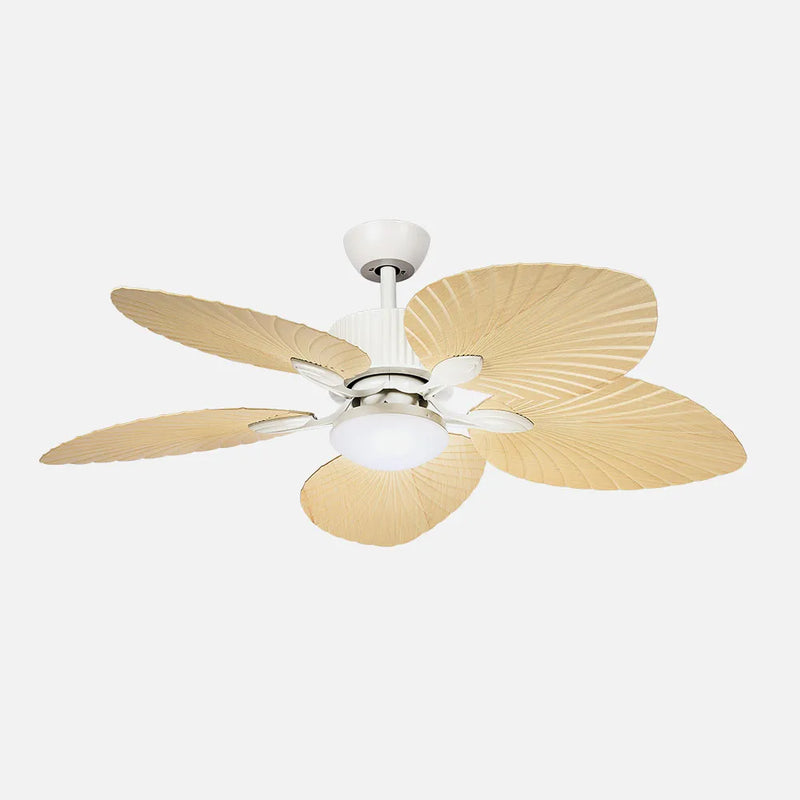 Ventilador de techo DC Torcal 24w